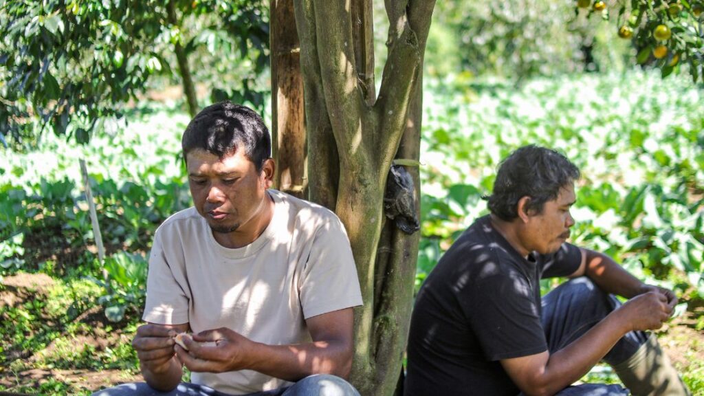 heat illness prevention plan California farm workers